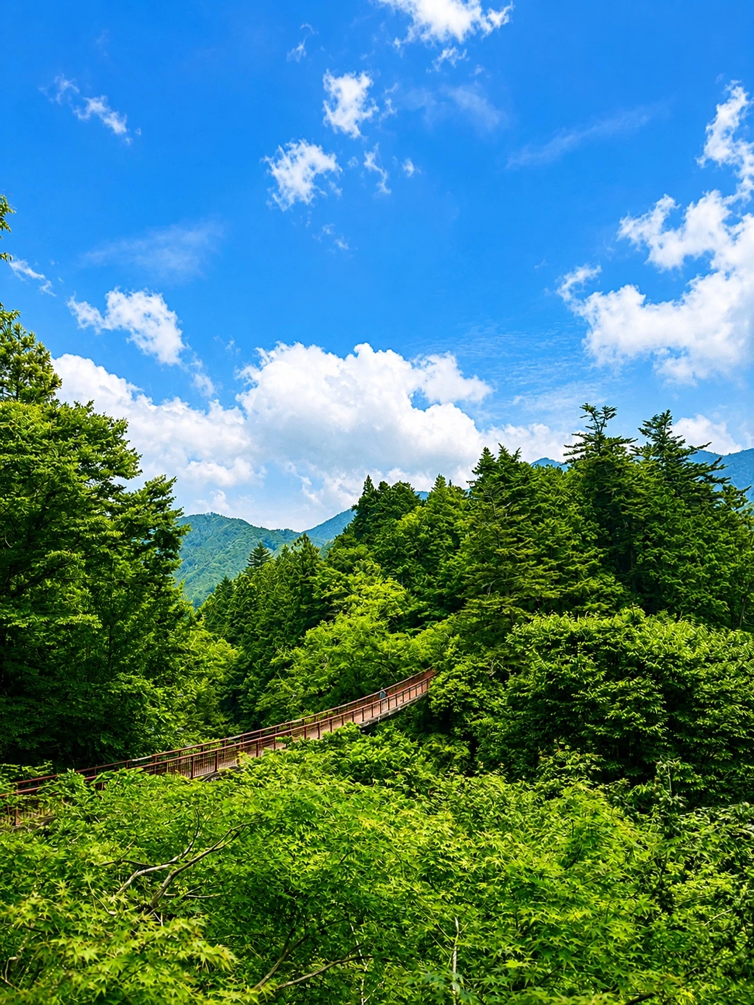 緑に囲まれた秋川渓谷の石舟橋と川の景色