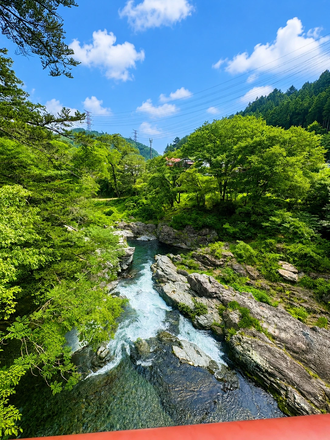 石舟橋の上から見下ろした秋川の清流と木々