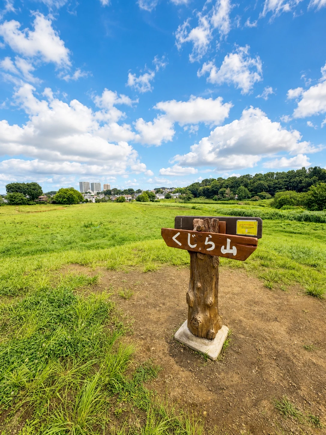 武蔵野公園のくじら山から広いはらっぱを見渡す犬