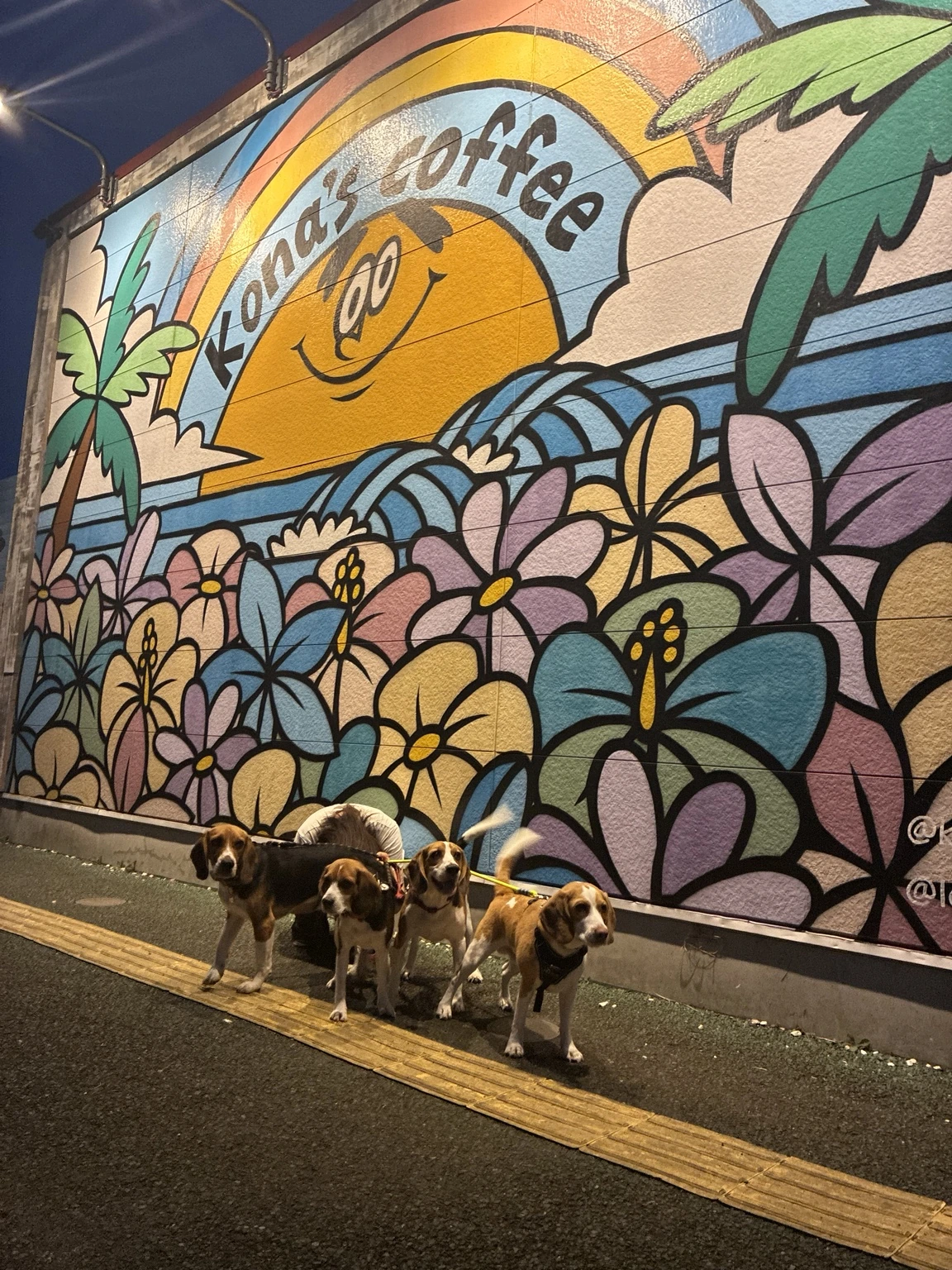 コナズ珈琲多摩ニュータウンのカラフルな壁画前に並ぶ犬たち