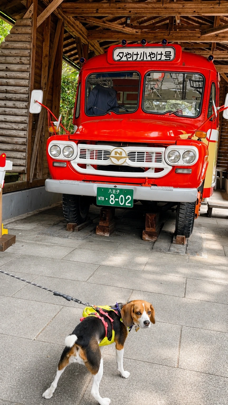 夕やけ小やけふれあいの里の緑に囲まれた川で犬が水遊びをしている様子