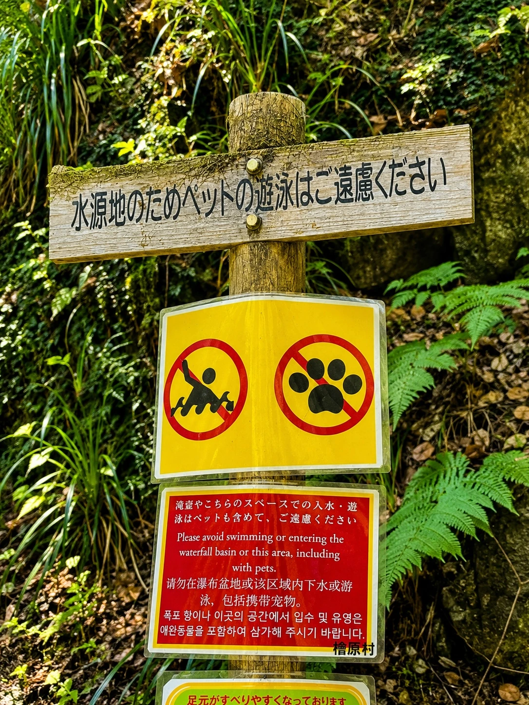 払沢の滝周辺に設置された水遊びや立ち入りに関する注意表示