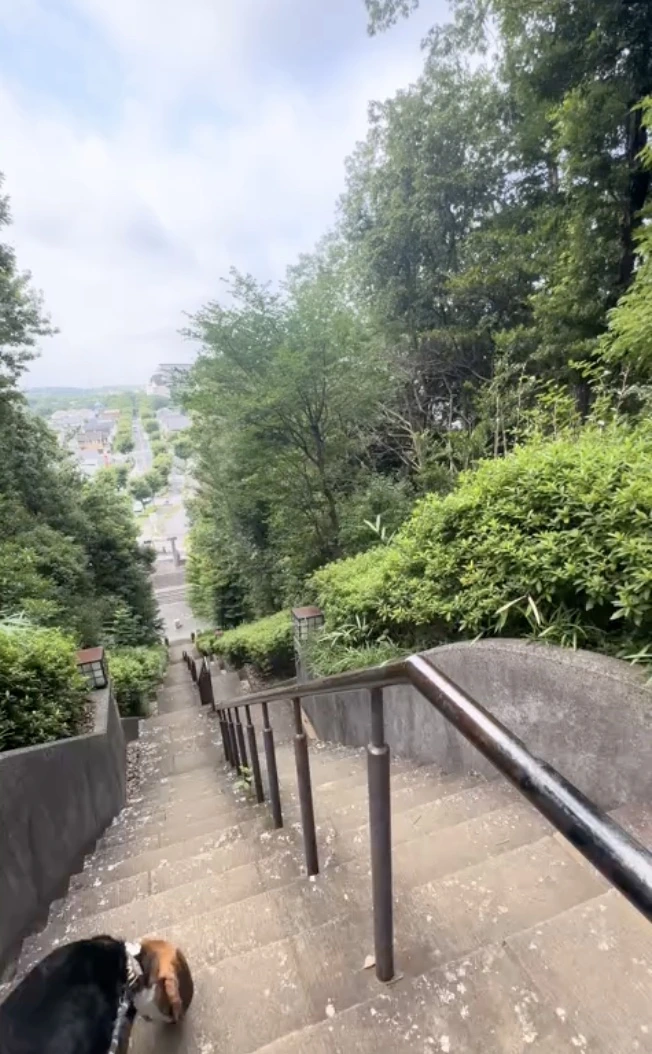城山公園の高台から見渡す稲城市と多摩エリアの景色
