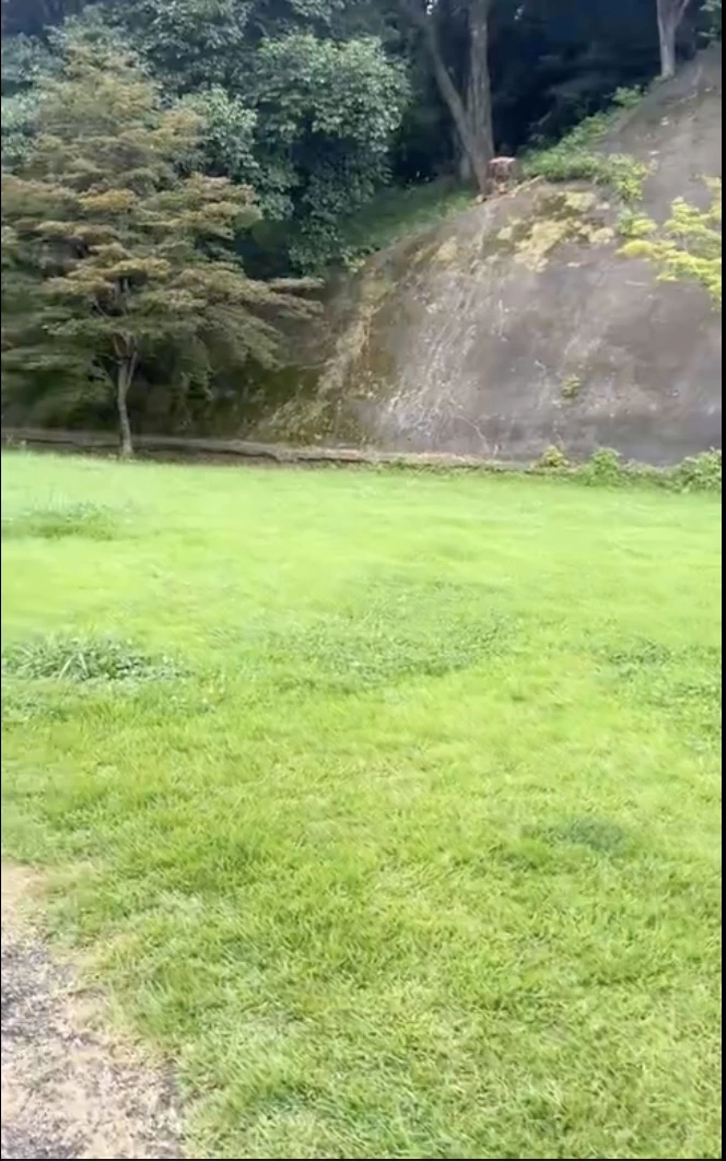 城山公園にある緑に囲まれた開放的な広場