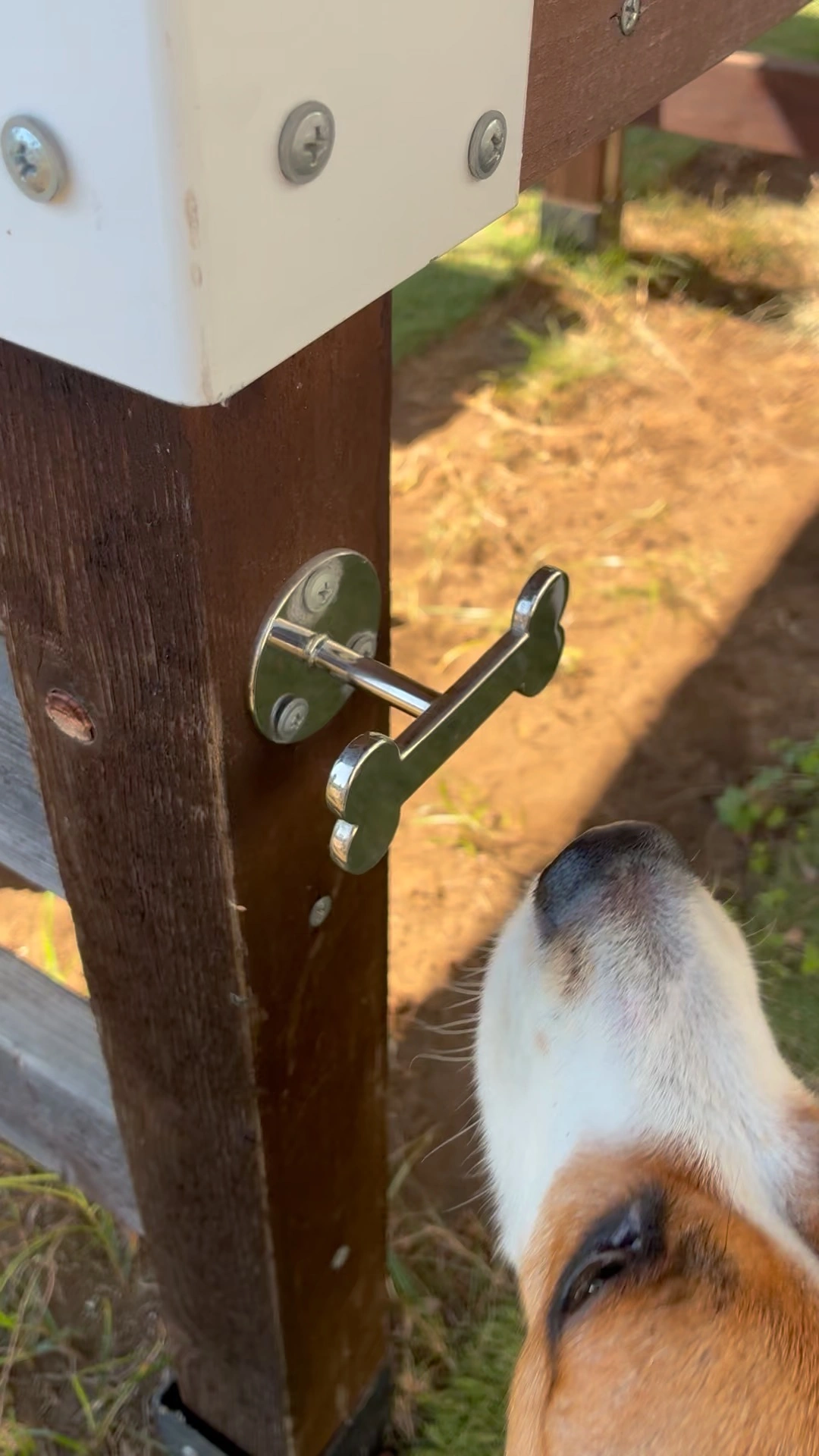 B factoryの屋外テラス席と犬連れ利用時のリードフック