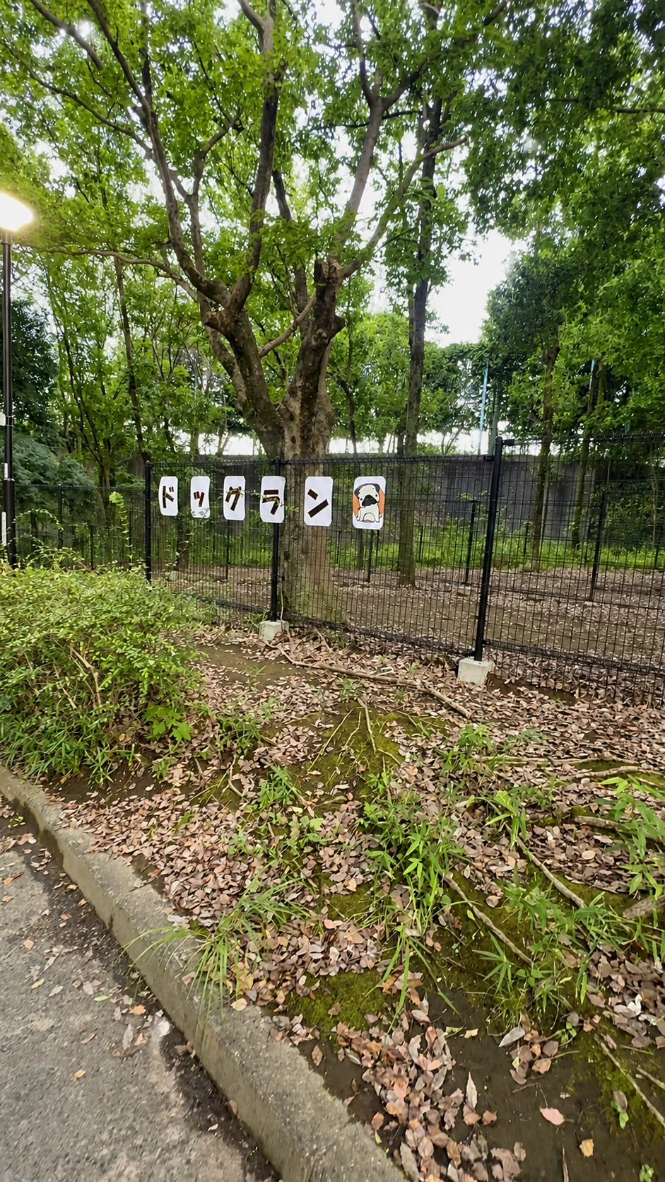 野津田公園ドッグランの入口と外観