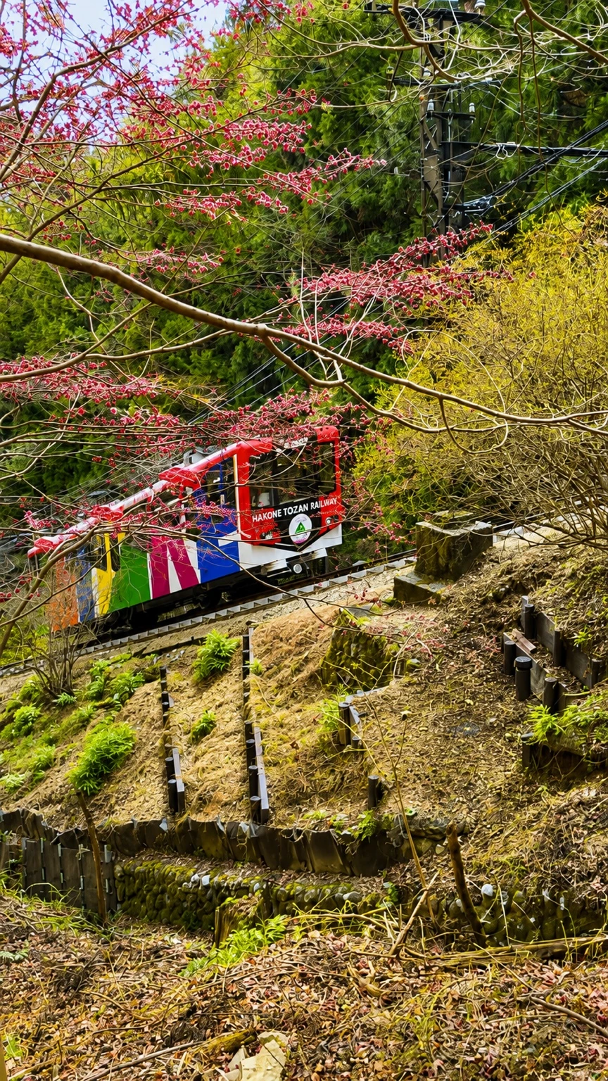 御岳山へ向かう御岳登山鉄道ケーブルカー