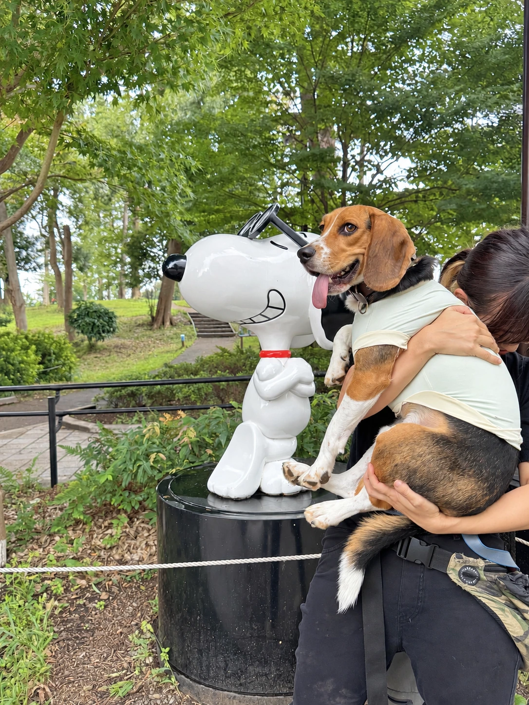 鶴間公園周辺のスヌーピーフォトスポットとワンちゃん